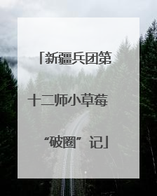 新疆兵团第十二师小草莓“破圈”记