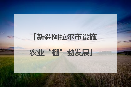 新疆阿拉尔市设施农业“棚”勃发展
