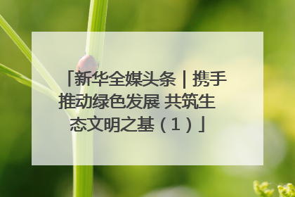 新华全媒头条｜携手推动绿色发展 共筑生态文明之基（1）