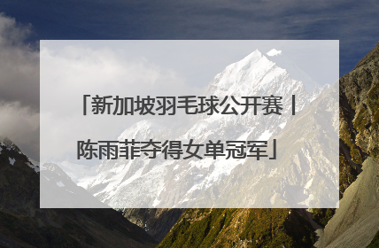 新加坡羽毛球公开赛丨陈雨菲夺得女单冠军