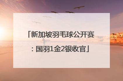 新加坡羽毛球公开赛：国羽1金2银收官
