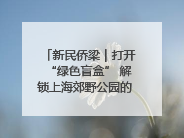 新民侨梁｜打开“绿色盲盒” 解锁上海郊野公园的N种玩法