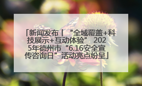 新闻发布丨“全域覆盖+科技展示+互动体验” 2025年德州市“6.16安全宣传咨询日”活动亮点纷呈