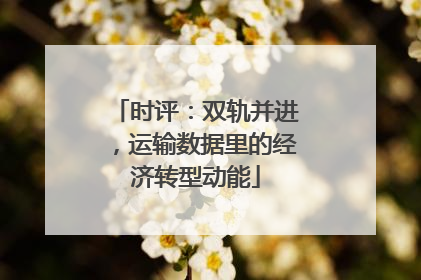 时评：双轨并进，运输数据里的经济转型动能