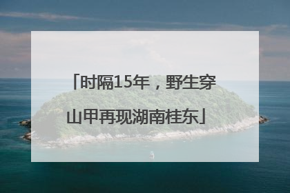 时隔15年，野生穿山甲再现湖南桂东