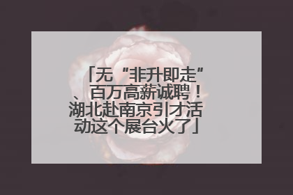 无“非升即走”、百万高薪诚聘！湖北赴南京引才活动这个展台火了