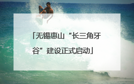 无锡惠山“长三角牙谷”建设正式启动