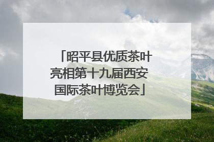 昭平县优质茶叶亮相第十九届西安国际茶叶博览会