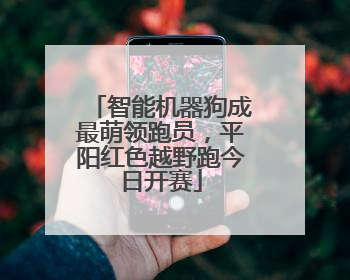 智能机器狗成最萌领跑员，平阳红色越野跑今日开赛
