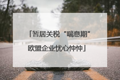 暂居关税“喘息期” 欧盟企业忧心忡忡