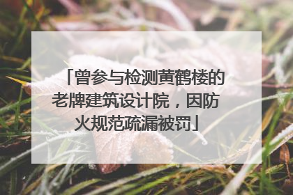 曾参与检测黄鹤楼的老牌建筑设计院，因防火规范疏漏被罚