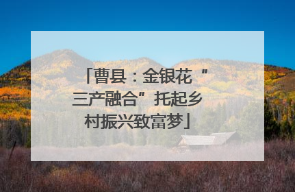 曹县：金银花“三产融合”托起乡村振兴致富梦