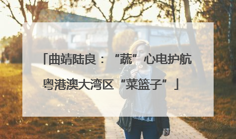 曲靖陆良：“蔬”心电护航粤港澳大湾区“菜篮子”