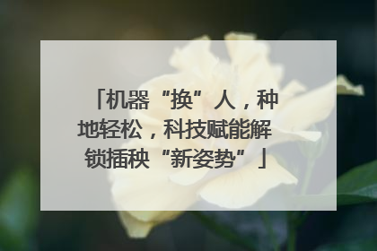 机器“换”人，种地轻松，科技赋能解锁插秧“新姿势”