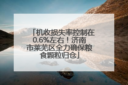 机收损失率控制在0.6%左右！济南市莱芜区全力确保粮食颗粒归仓