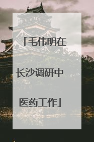 毛伟明在长沙调研中医药工作