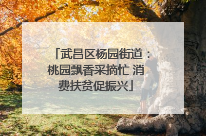 武昌区杨园街道：桃园飘香采摘忙 消费扶贫促振兴