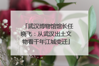 武汉博物馆馆长任晓飞：从武汉出土文物看千年江城变迁