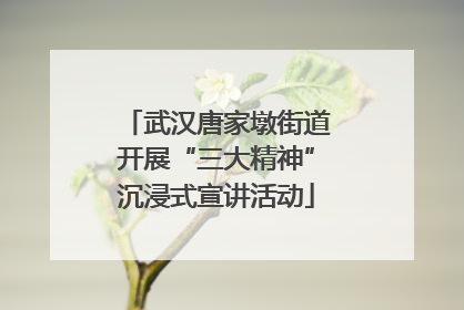 武汉唐家墩街道开展“三大精神”沉浸式宣讲活动