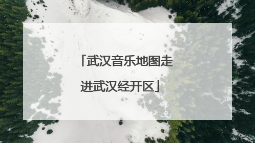 武汉音乐地图走进武汉经开区