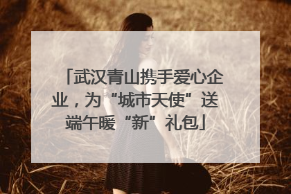 武汉青山携手爱心企业，为“城市天使”送端午暖“新”礼包