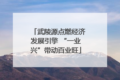 武陵源点燃经济发展引擎 “一业兴”带动百业旺