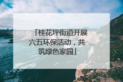 桂花坪街道开展六五环保活动，共筑绿色家园
