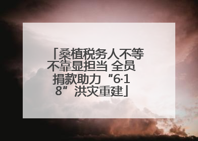 桑植税务人不等不靠显担当 全员捐款助力“6·18”洪灾重建