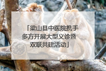 梁山县中医院携手多方开展大型义诊暨双联共建活动