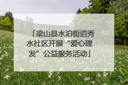 梁山县水泊街道秀水社区开展“爱心理发”公益服务活动