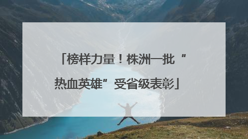 榜样力量！株洲一批“热血英雄”受省级表彰