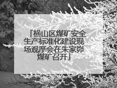 横山区煤矿安全生产标准化建设现场观摩会在朱家峁煤矿召开