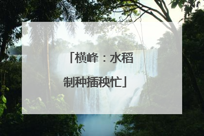 横峰：水稻制种插秧忙