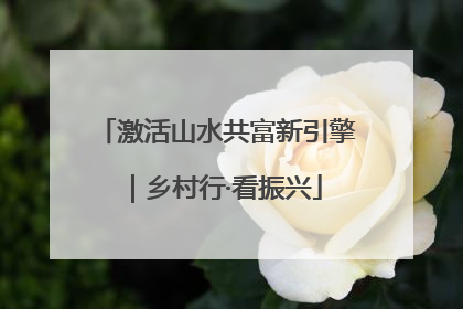 激活山水共富新引擎｜乡村行·看振兴