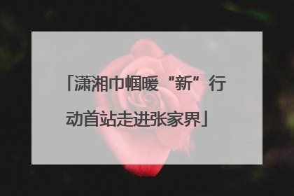 潇湘巾帼暖“新”行动首站走进张家界