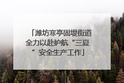 潍坊寒亭固堤街道全力以赴护航“三夏”安全生产工作