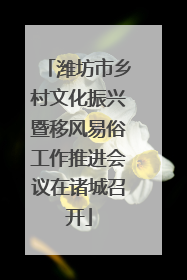 潍坊市乡村文化振兴暨移风易俗工作推进会议在诸城召开