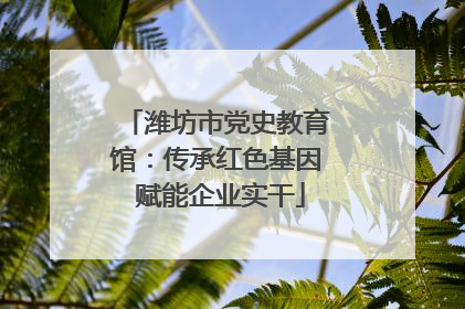 潍坊市党史教育馆：传承红色基因 赋能企业实干