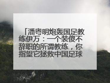 潘粤明炮轰国足教练伊万：一个装傻不辞职的所谓教练，你指望它拯救中国足球！此前曾多次发文评价国足
