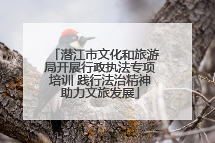 潜江市文化和旅游局开展行政执法专项培训 践行法治精神助力文旅发展