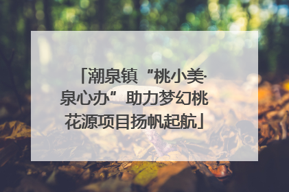 潮泉镇“桃小美·泉心办”助力梦幻桃花源项目扬帆起航
