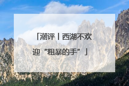 潮评丨西湖不欢迎“粗暴的手”