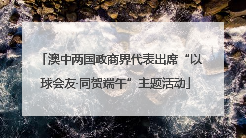 澳中两国政商界代表出席“以球会友·同贺端午”主题活动