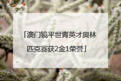澳门镜平世青英才奥林匹克赛获2金1荣誉