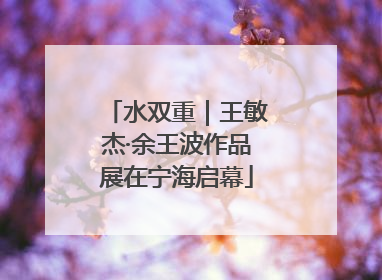 水双重｜王敏杰·余王波作品展在宁海启幕