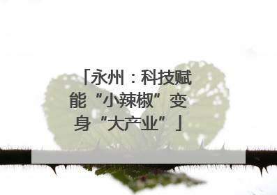 永州：科技赋能“小辣椒”变身“大产业”