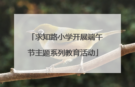 求知路小学开展端午节主题系列教育活动