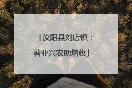 汝阳县刘店镇：薯业兴农助增收