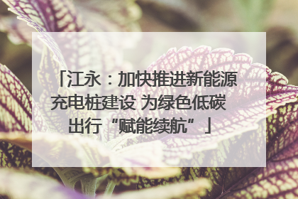 江永：加快推进新能源充电桩建设 为绿色低碳出行“赋能续航”