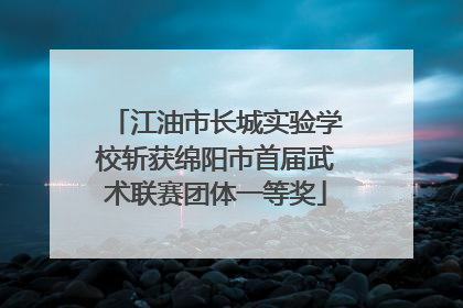 江油市长城实验学校斩获绵阳市首届武术联赛团体一等奖